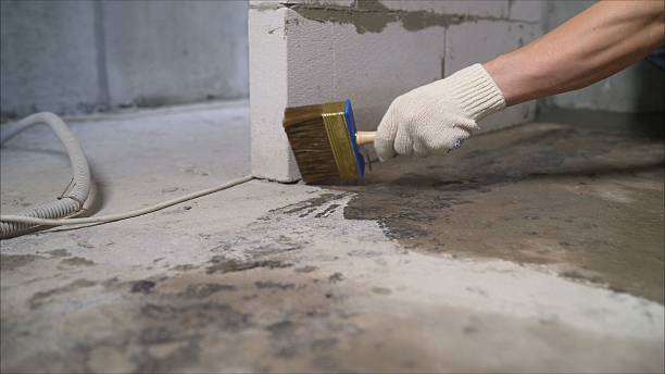 24/7 Emergency Crawl Space Encapsulation experts in Bridgeport, AL